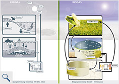 Entstehung von Biogas